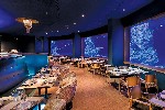 Aquamarine restaurace