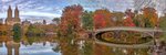 Most Bow, Central Park, New York 