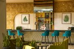 Bar Elyxr
