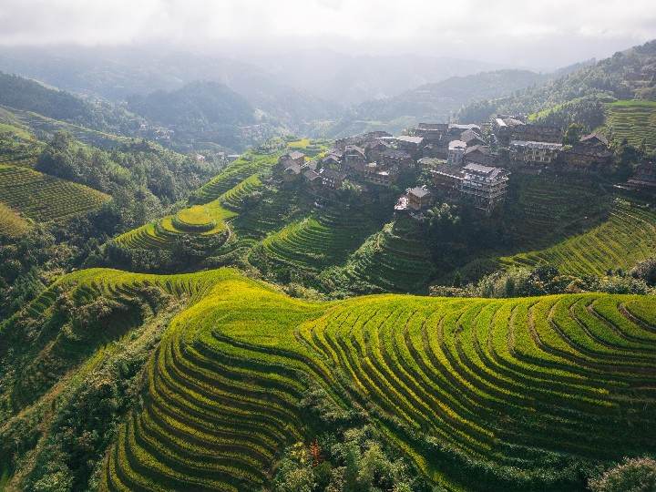 Rýžová pole, Longsheng Guilin