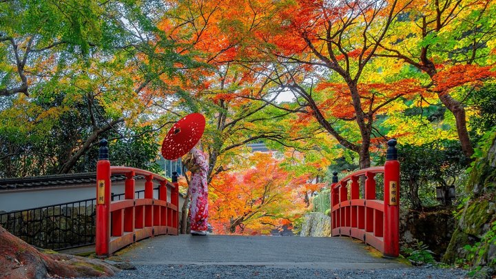 Po stopách dávných civilizací – Japonsko a Čína – fotka 4
