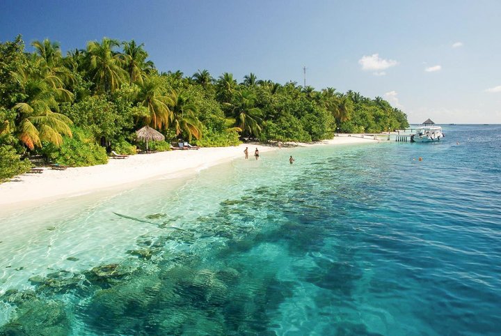 Vilamendhoo Island Resort & Spa – fotka 4