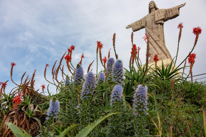 Velikonoční Madeira