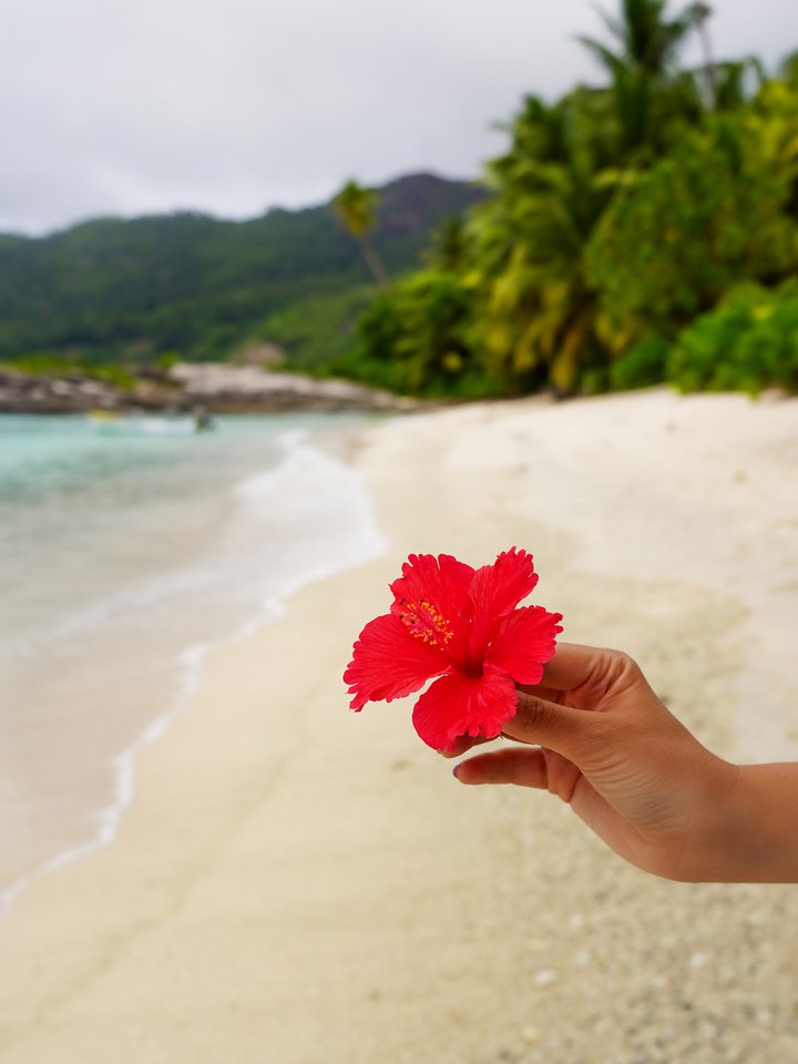 DoubleTree by Hilton Seychelles Allamanda Resort & Spa – fotka 5
