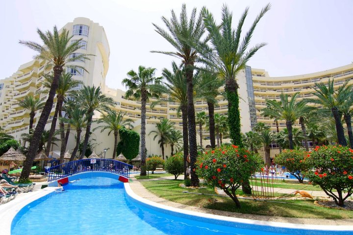 Riadh Palms – fotka 3