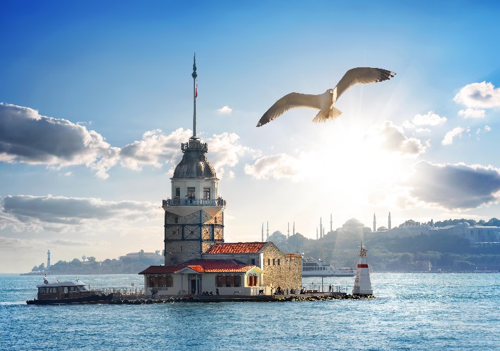 Seagull Flying near Maidens Tower in Istanbul at day