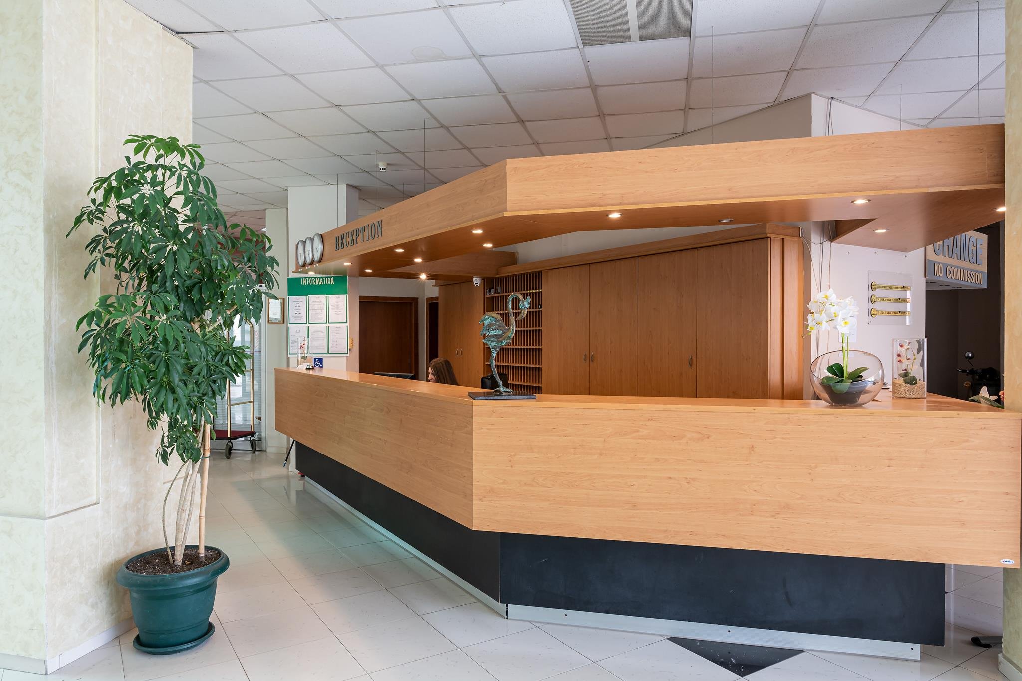 Flamingo Beach Hotel 15