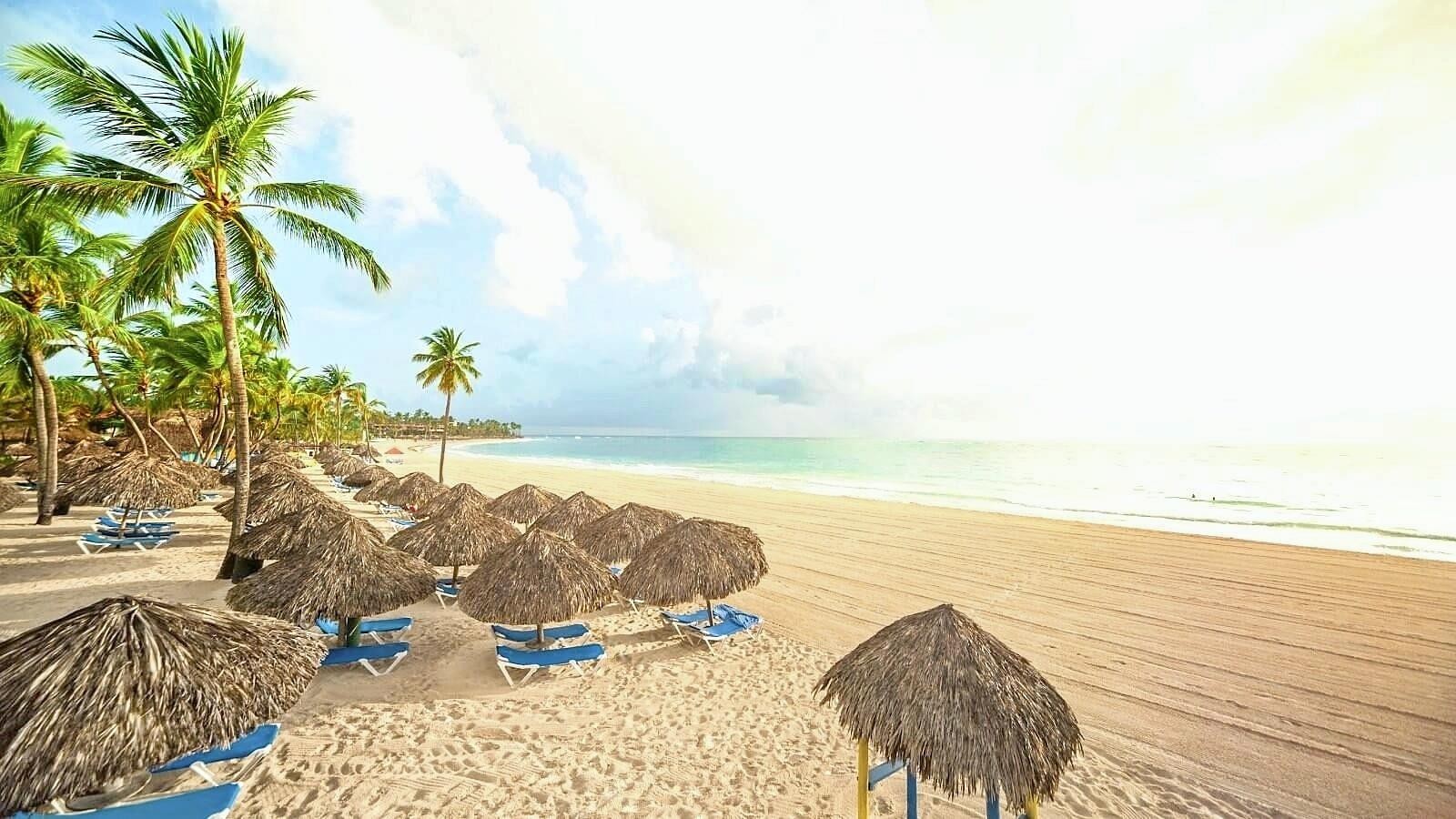 Tropical Deluxe Princess 4