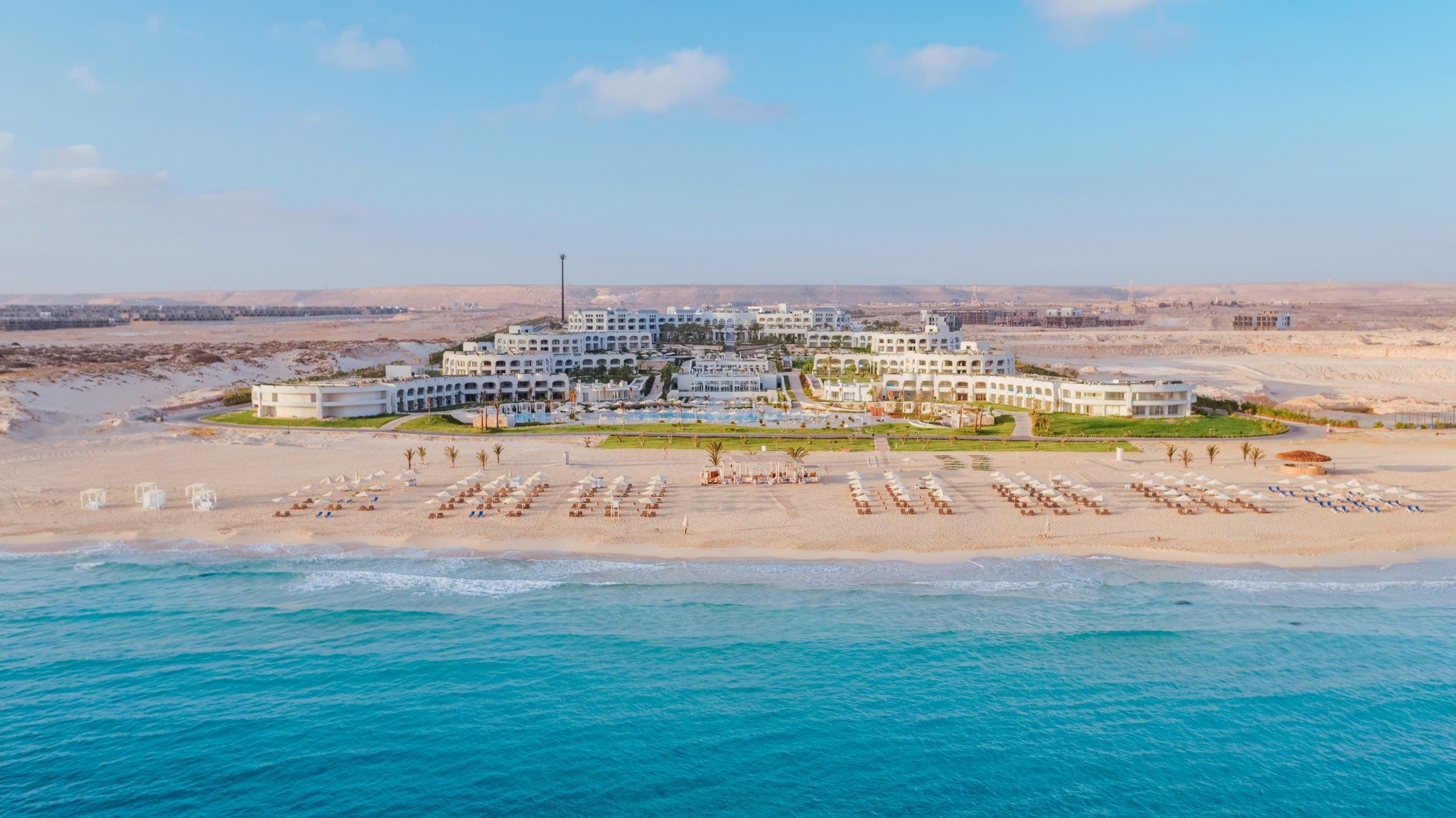 Cleopatra Sidi Heneish 31