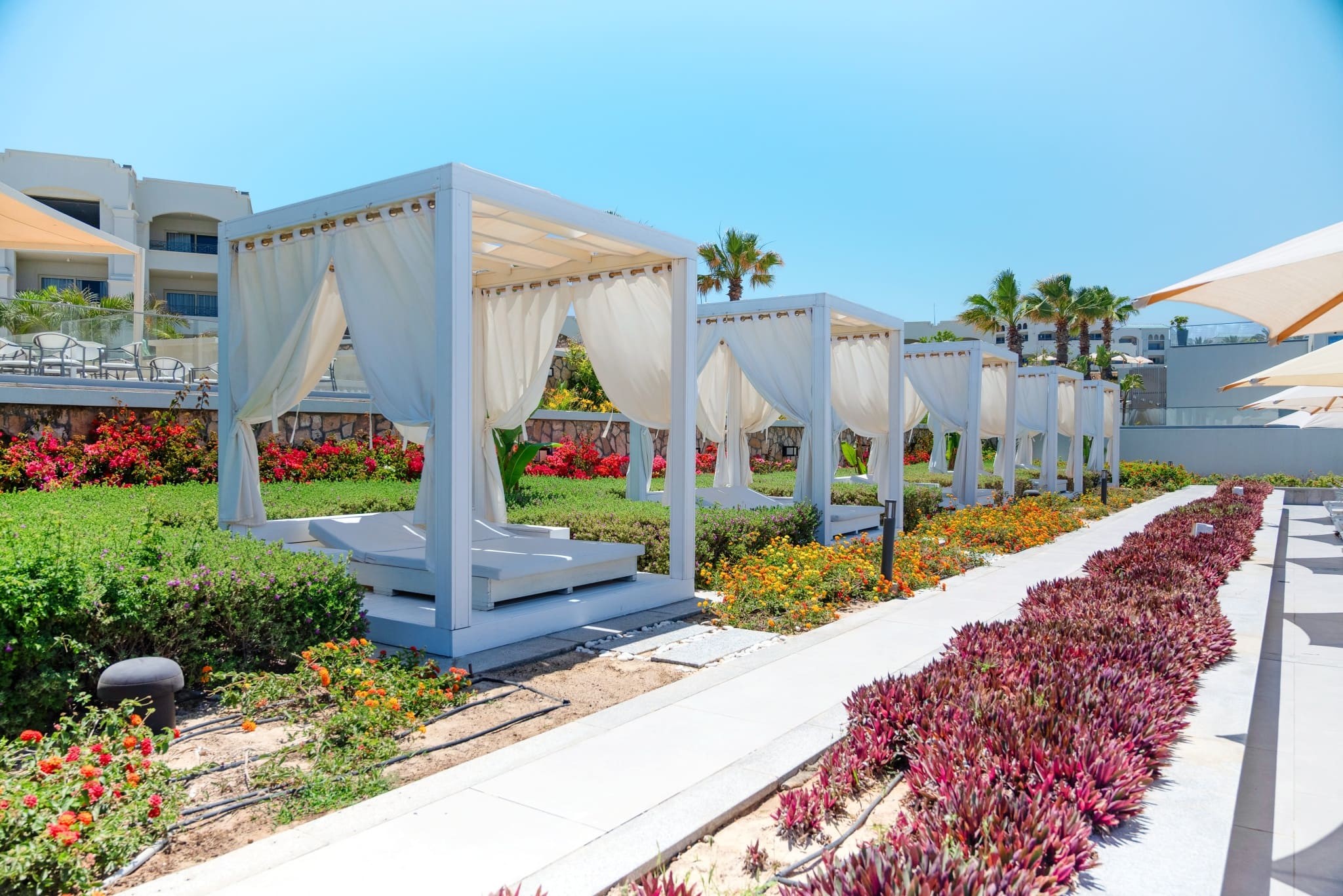 Cleopatra Sidi Heneish 23