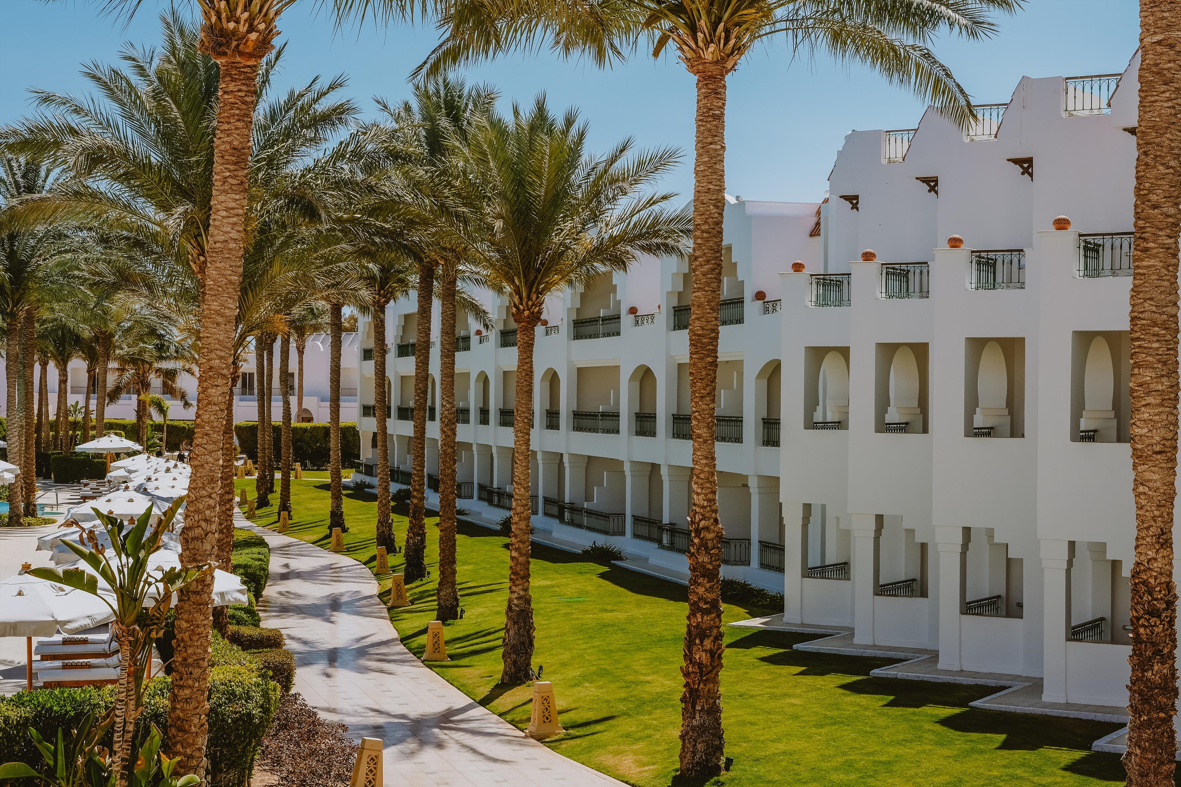 Baron Palms