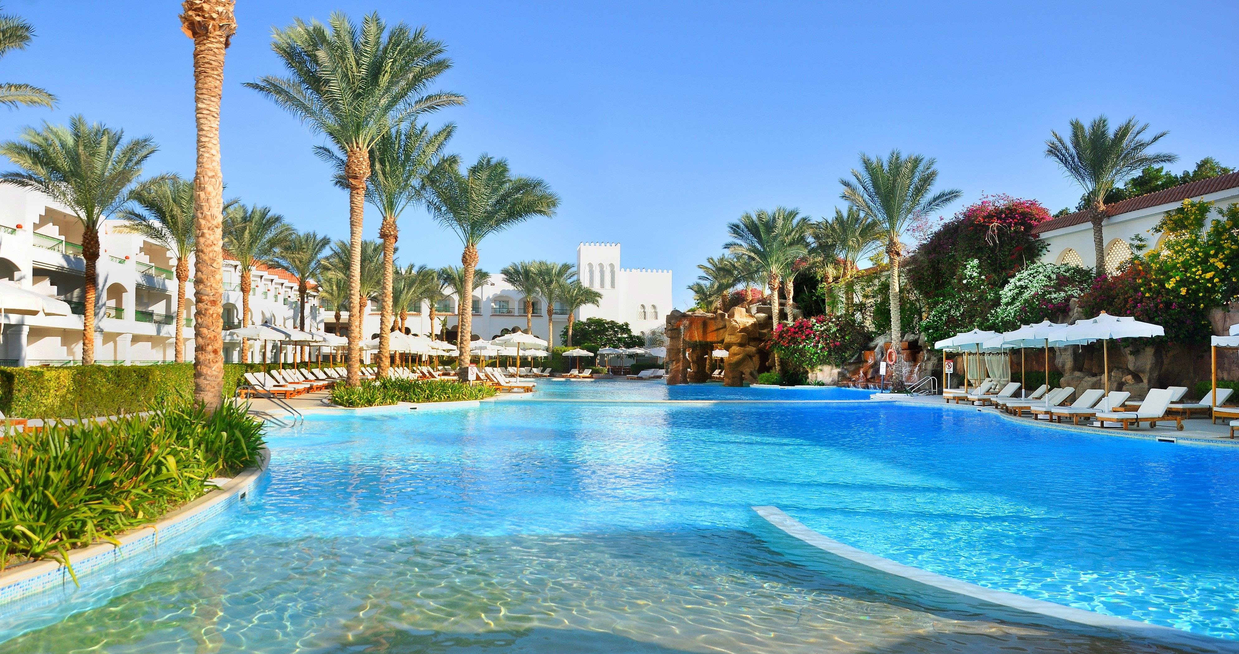 Baron Palms