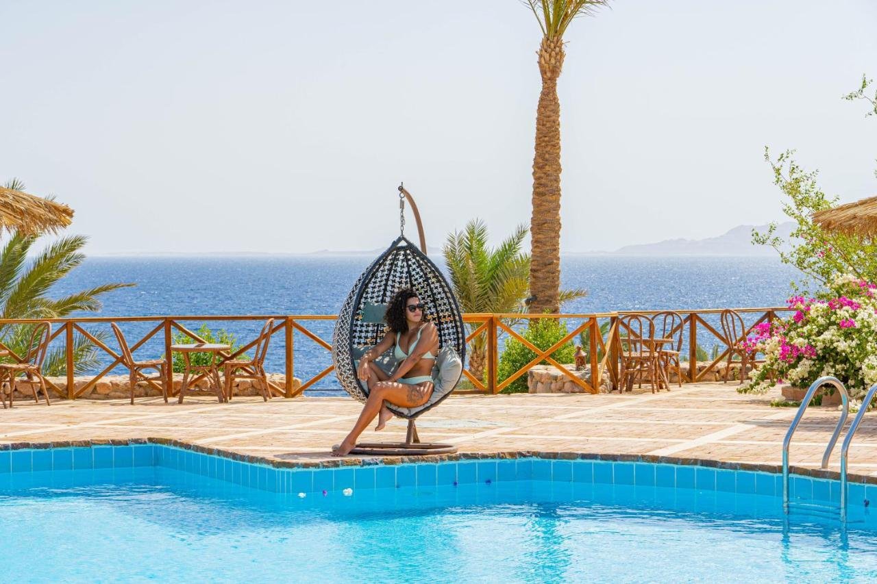 Club Reef Sharm El Sheikh Resort