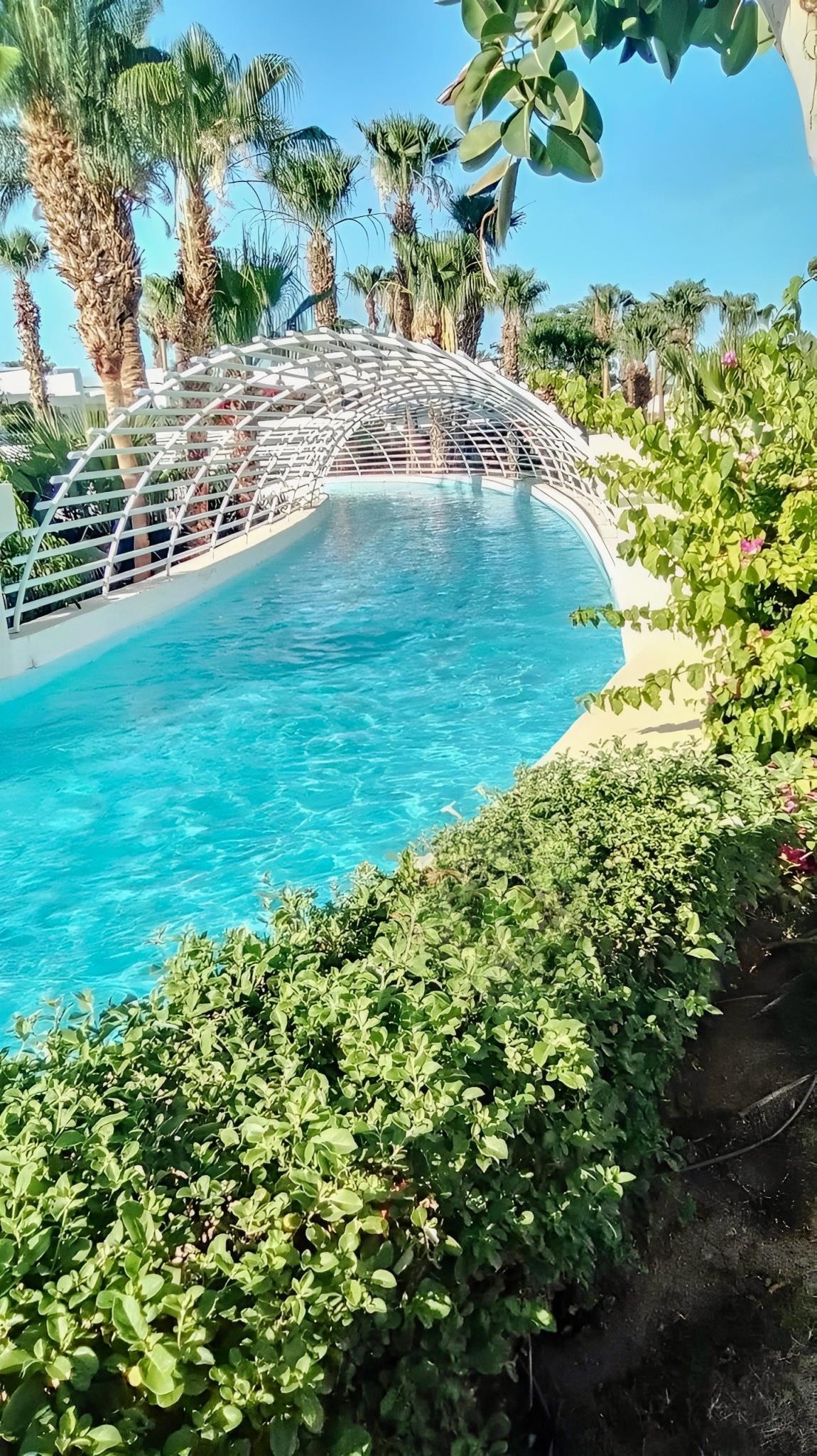 Monte Carlo Sharm Resort & Spa