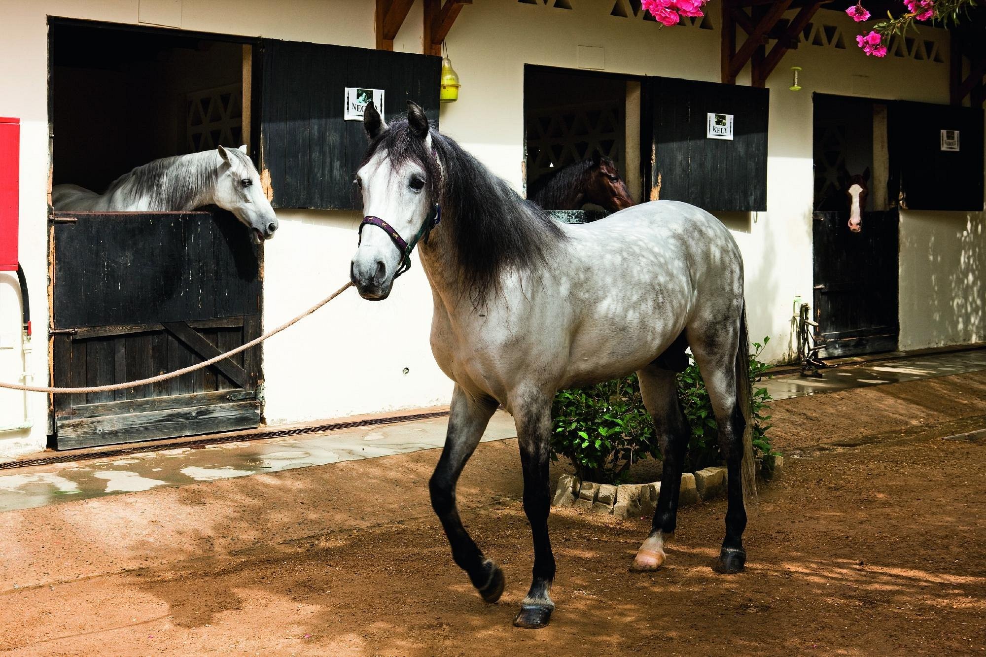 Movenpick Resort Sharm El Sheikh