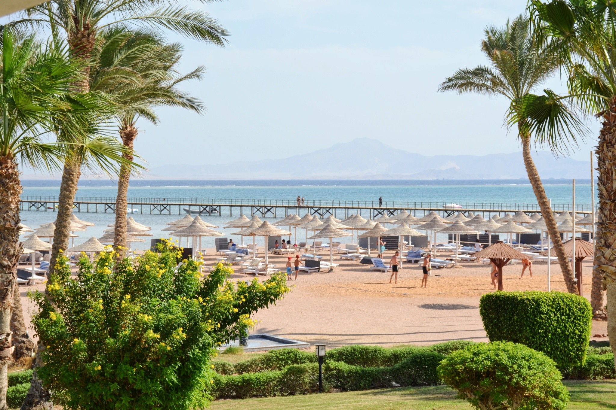 Regency Plaza Aqua Park & Spa Resort 8