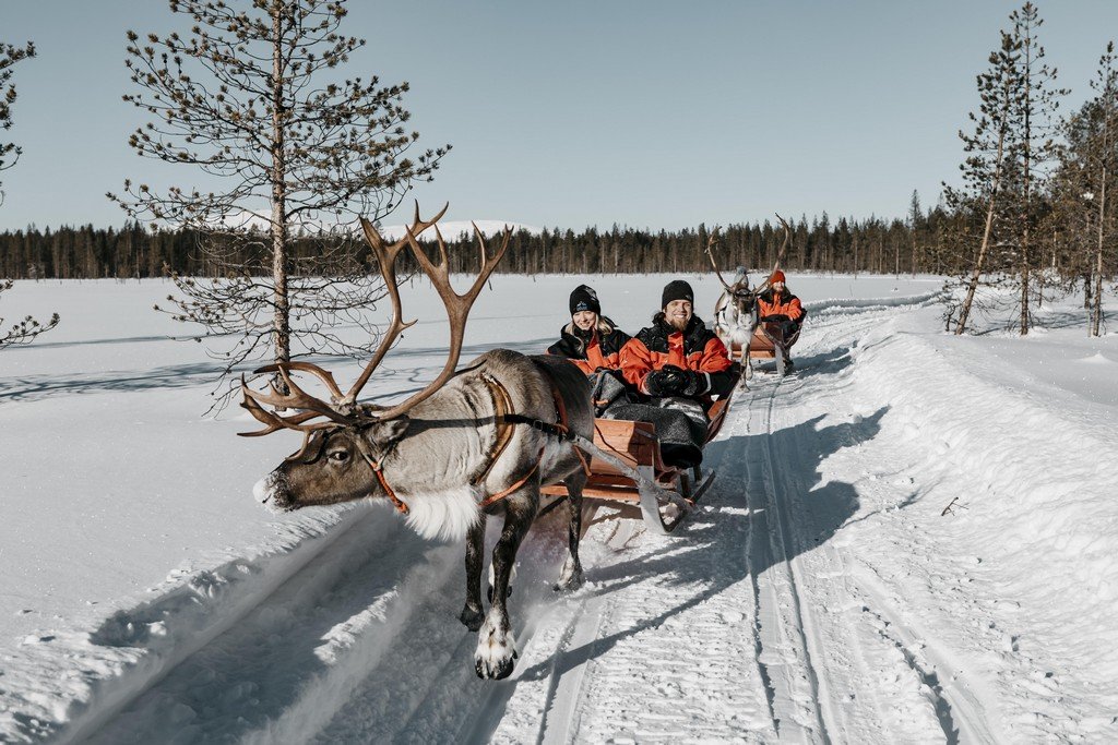 Charter Laponia Hotel Scandic Rovaniemi City