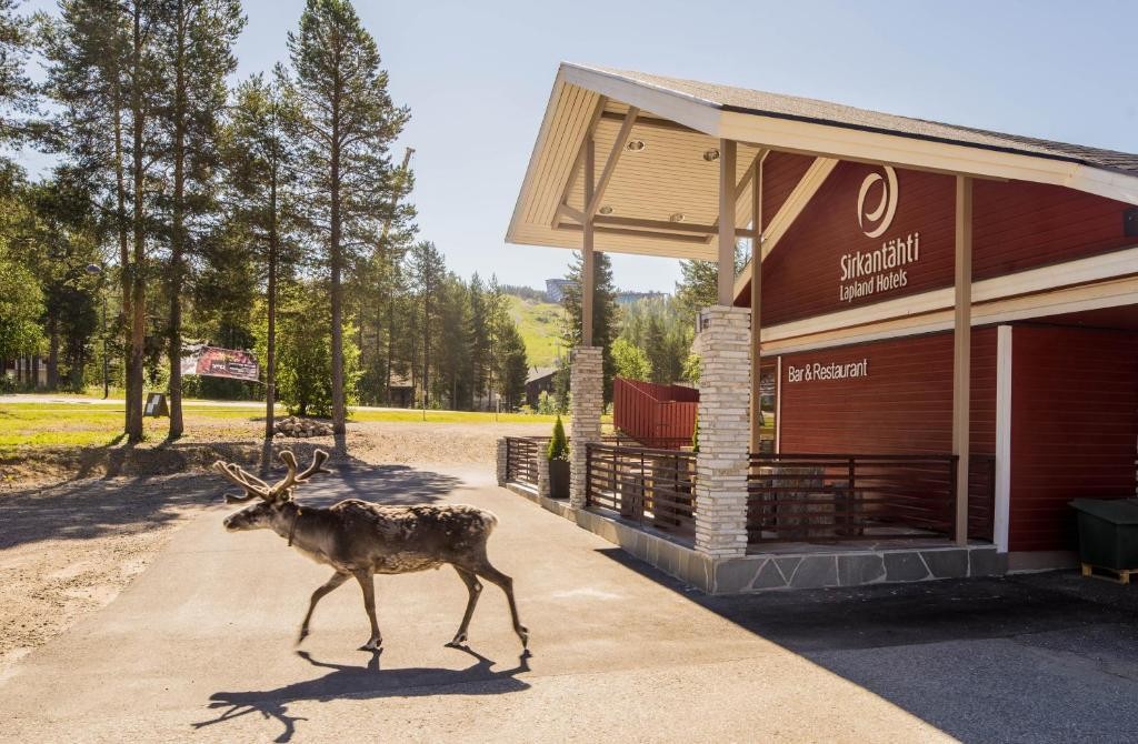Charter Laponia Lapland Hotels Sirkantahti Levi