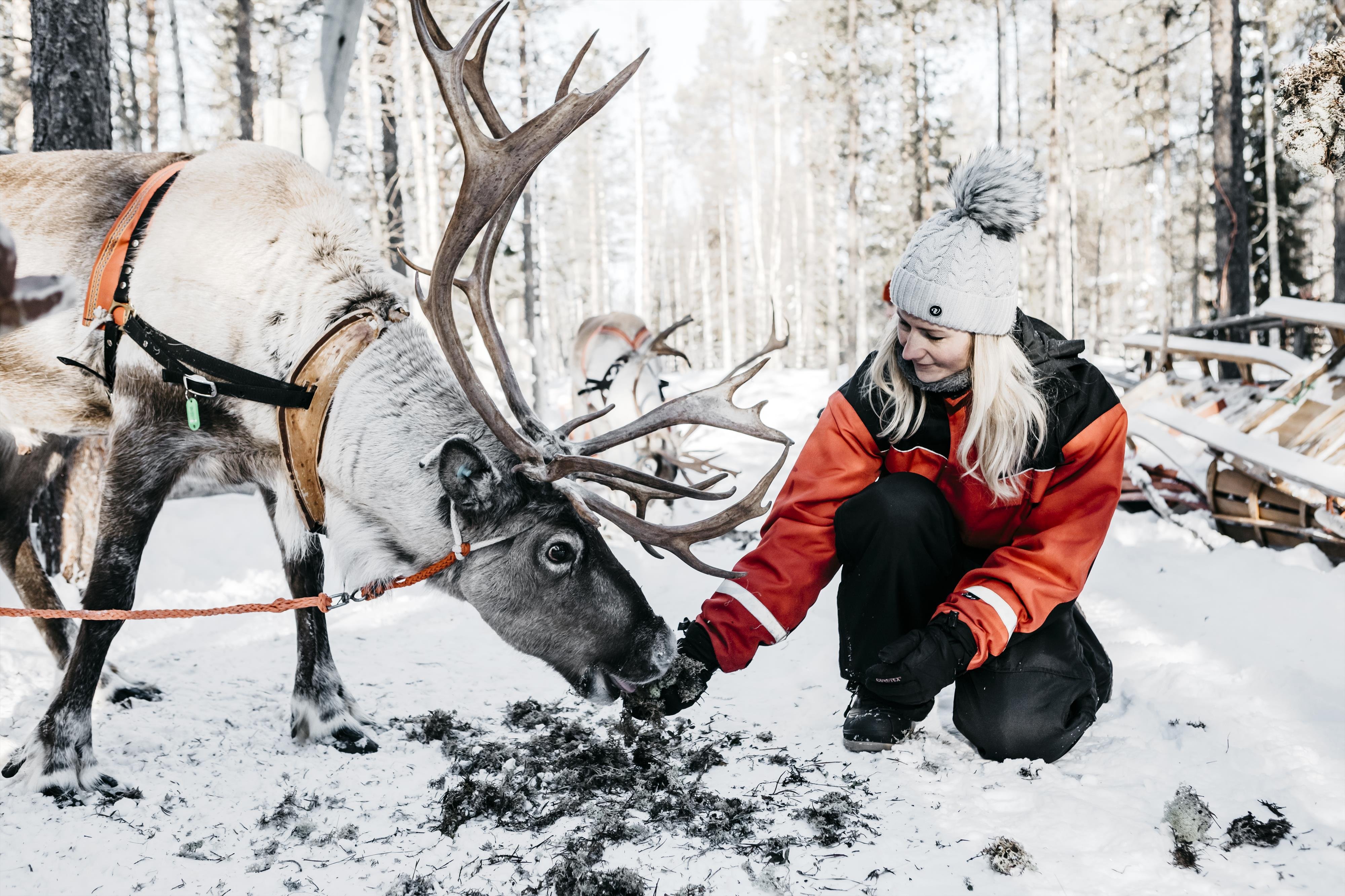 Charter Laponia Santa's Hotel Santa Claus Rovaniemi