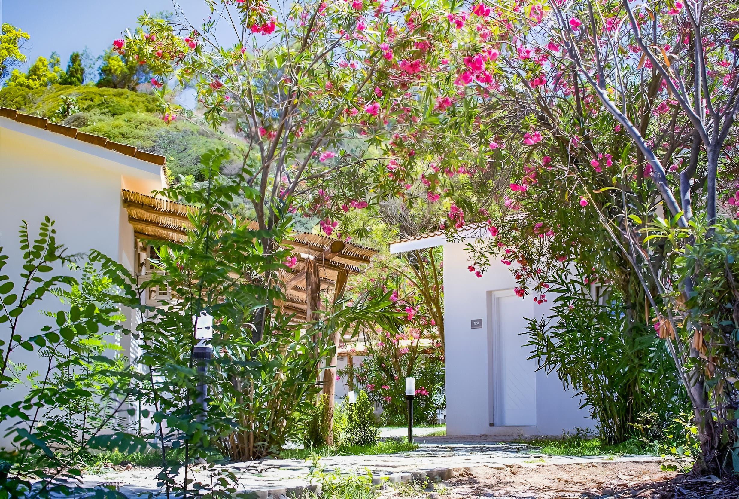 Kalafiorita Resort 27