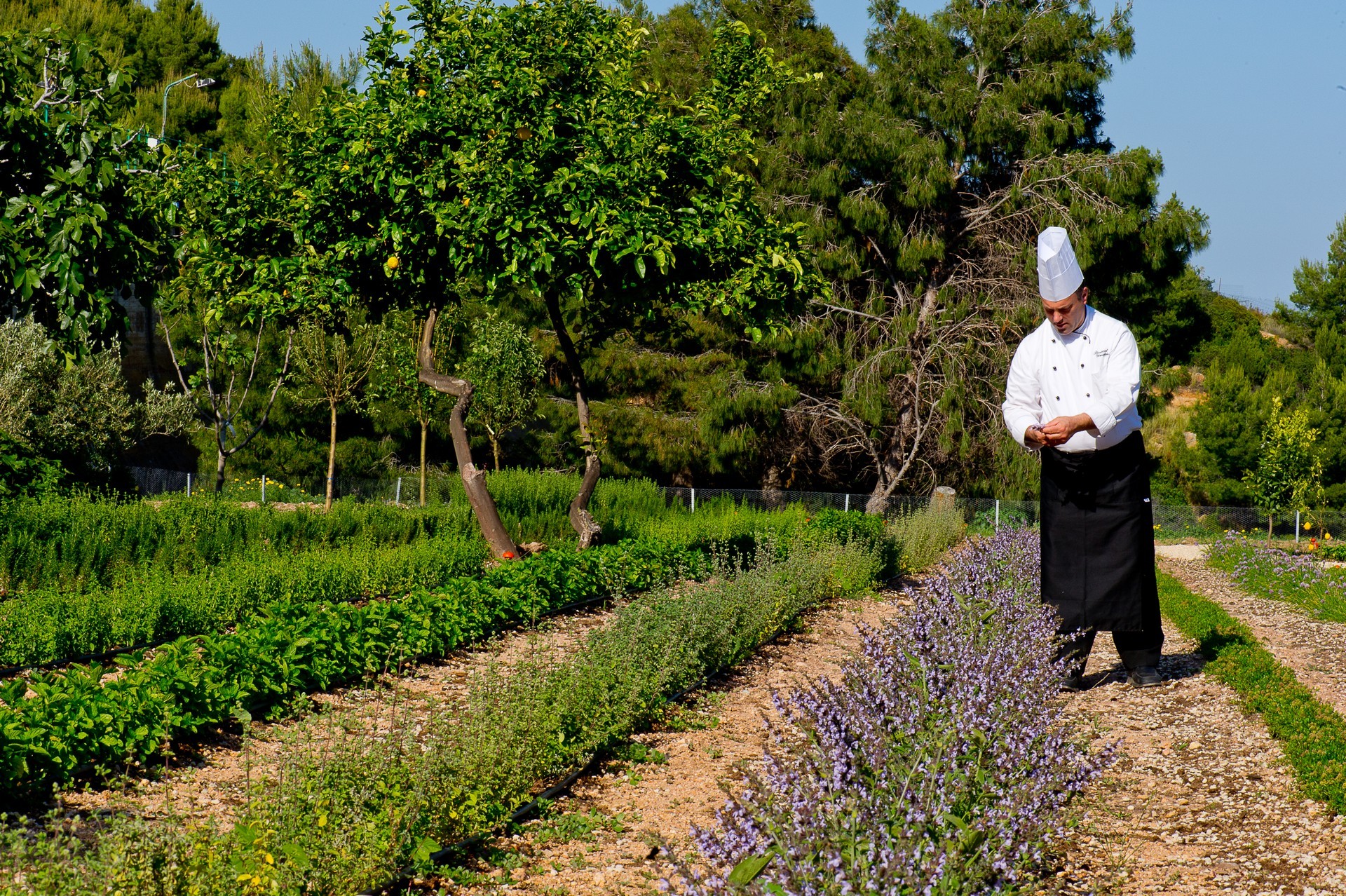 Forte Village - Villa Del Parco & SPA 22