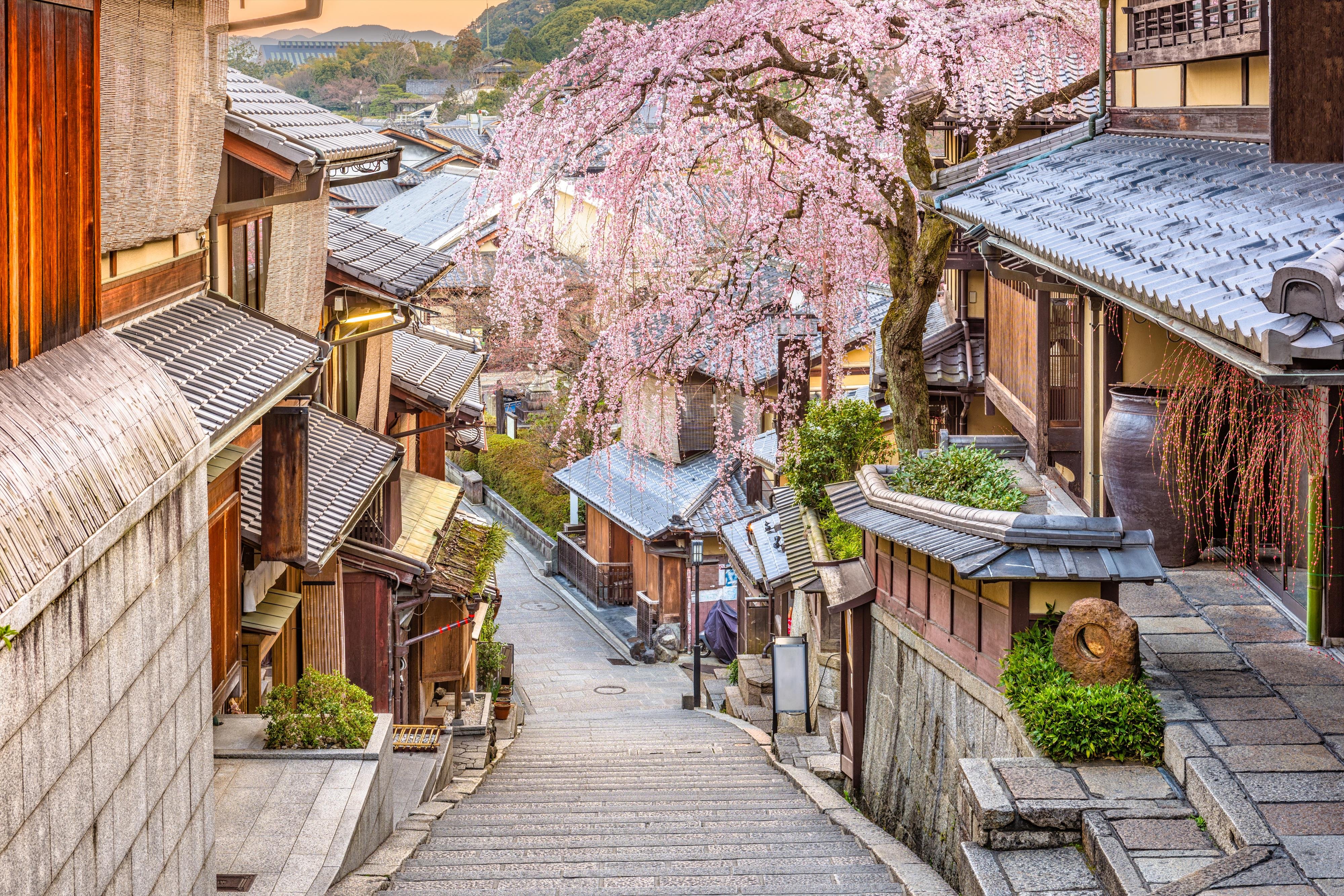 Circuit Japonia Sakura – O calatorie autentica