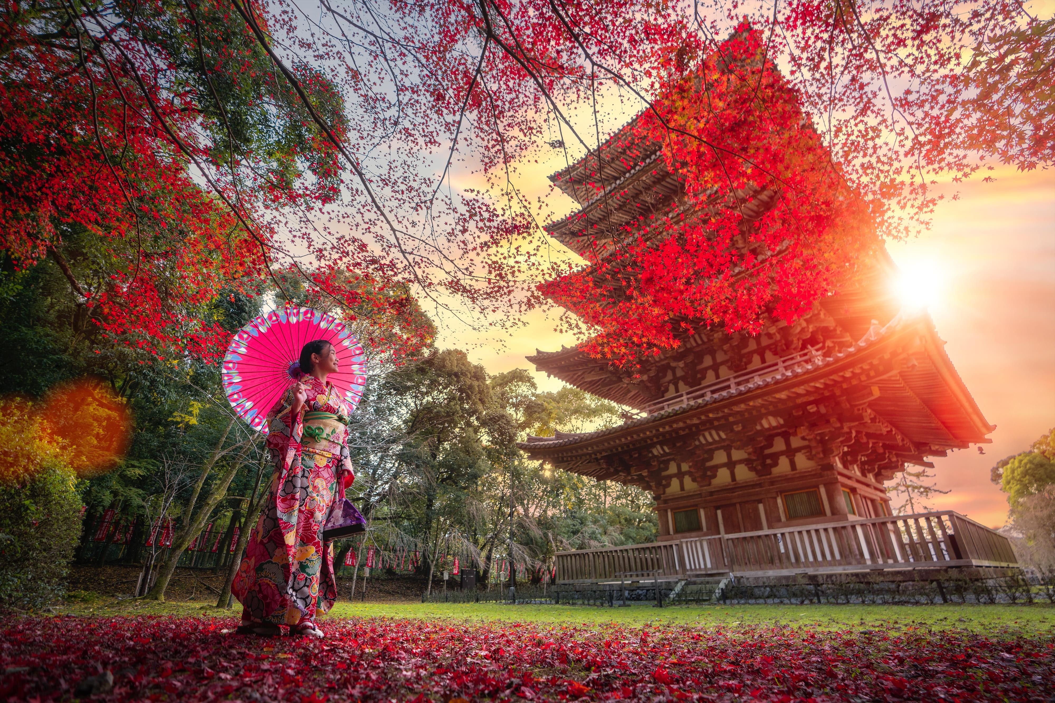 Circuit Japonia spectacolul toamnei