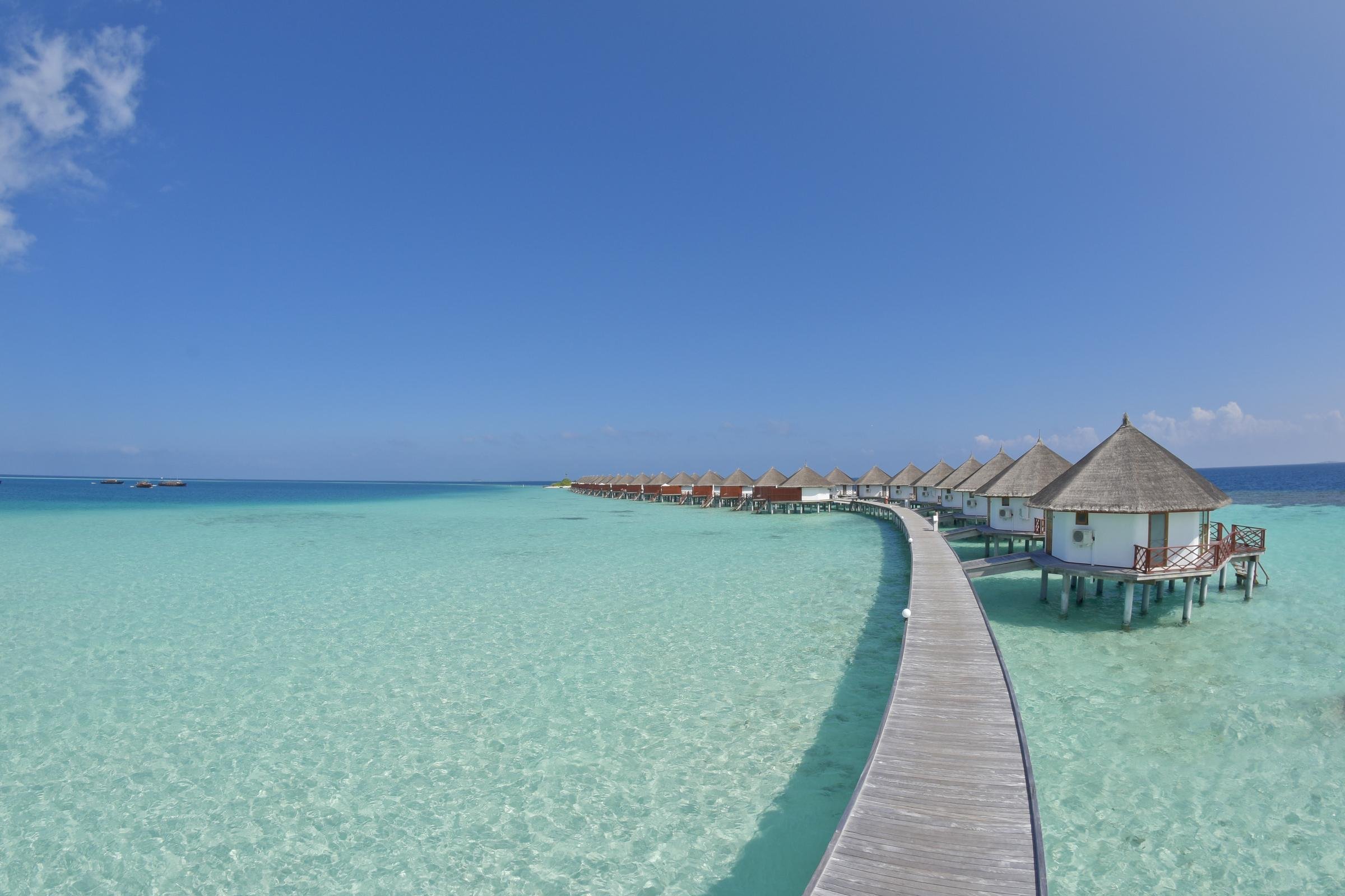 Safari Island Resort