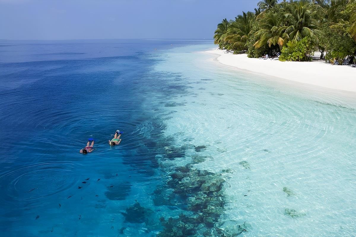 Vilamendhoo Island Resort & Spa 5