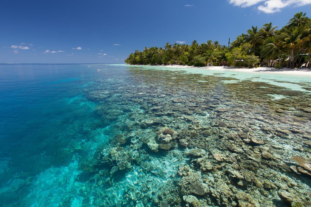 Vilamendhoo Island Resort