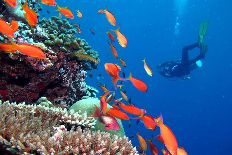 Kandima Maldives
