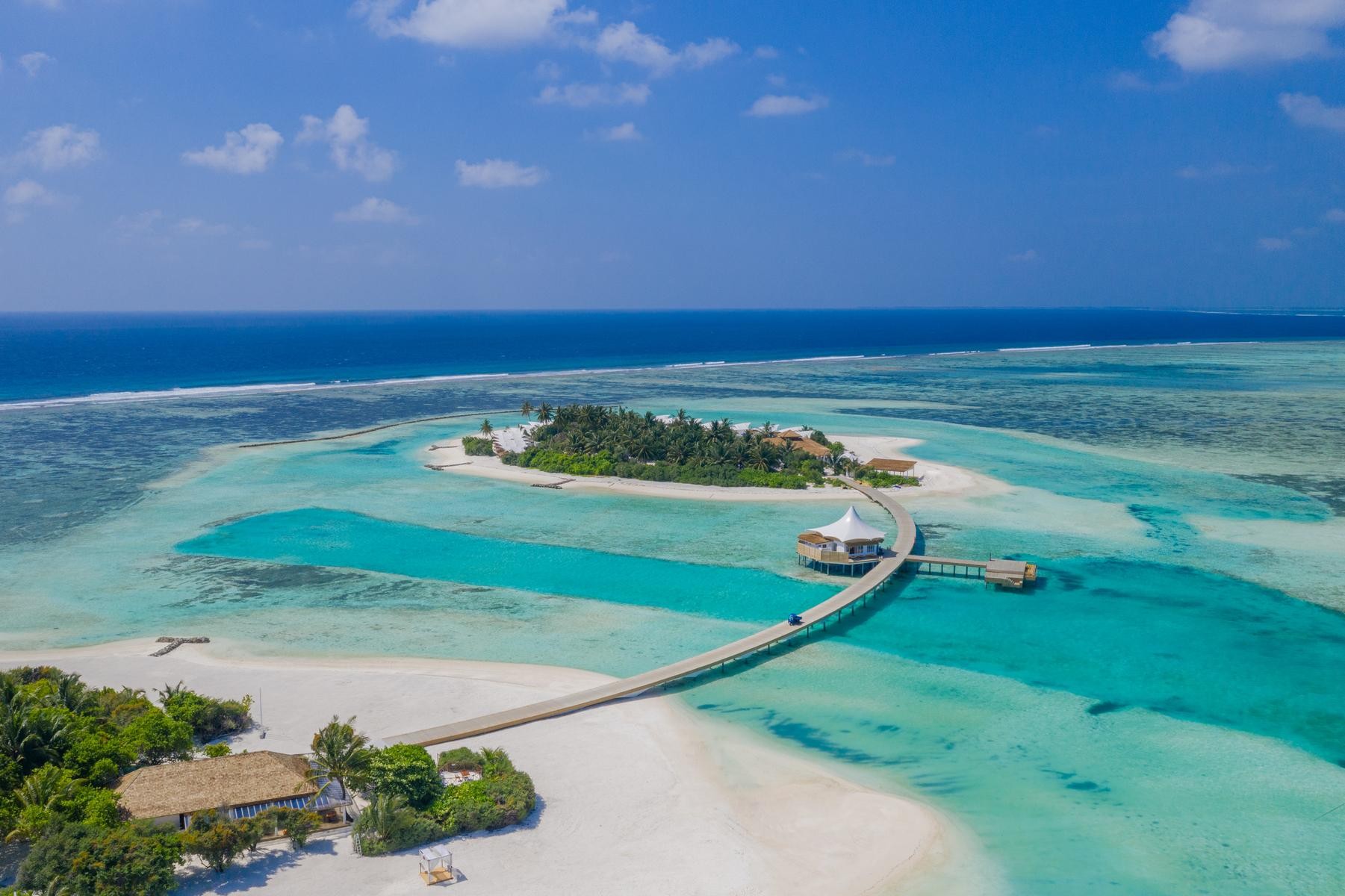 Cinnamon Hakuraa Huraa