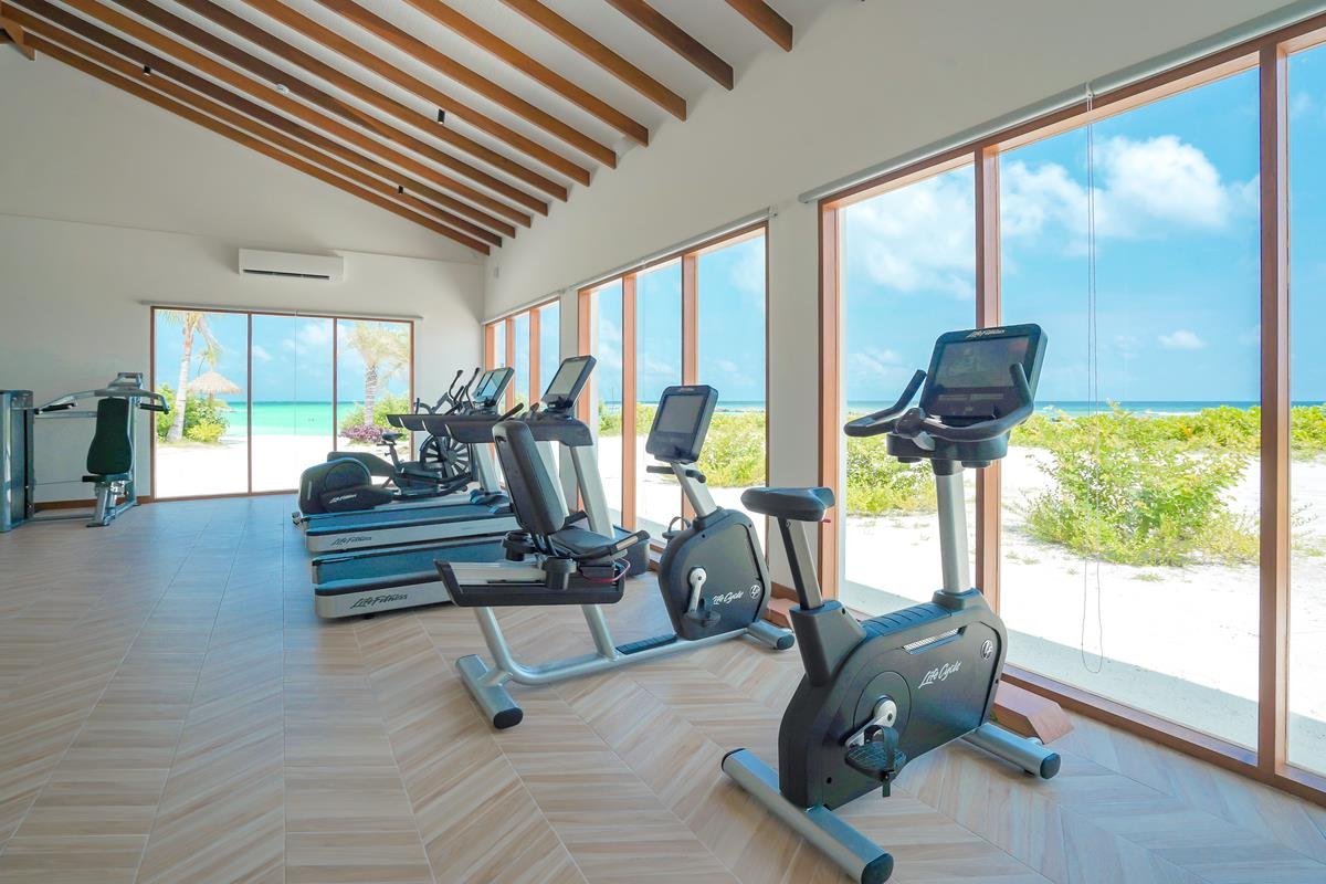 JOY ISLAND