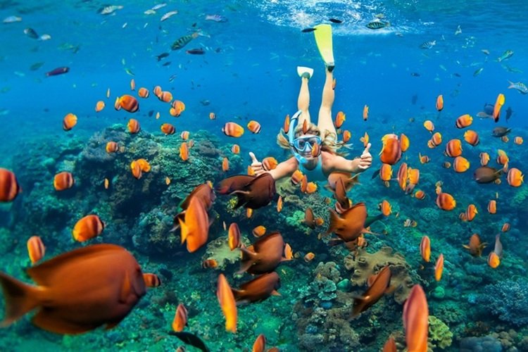 Triton Exotica