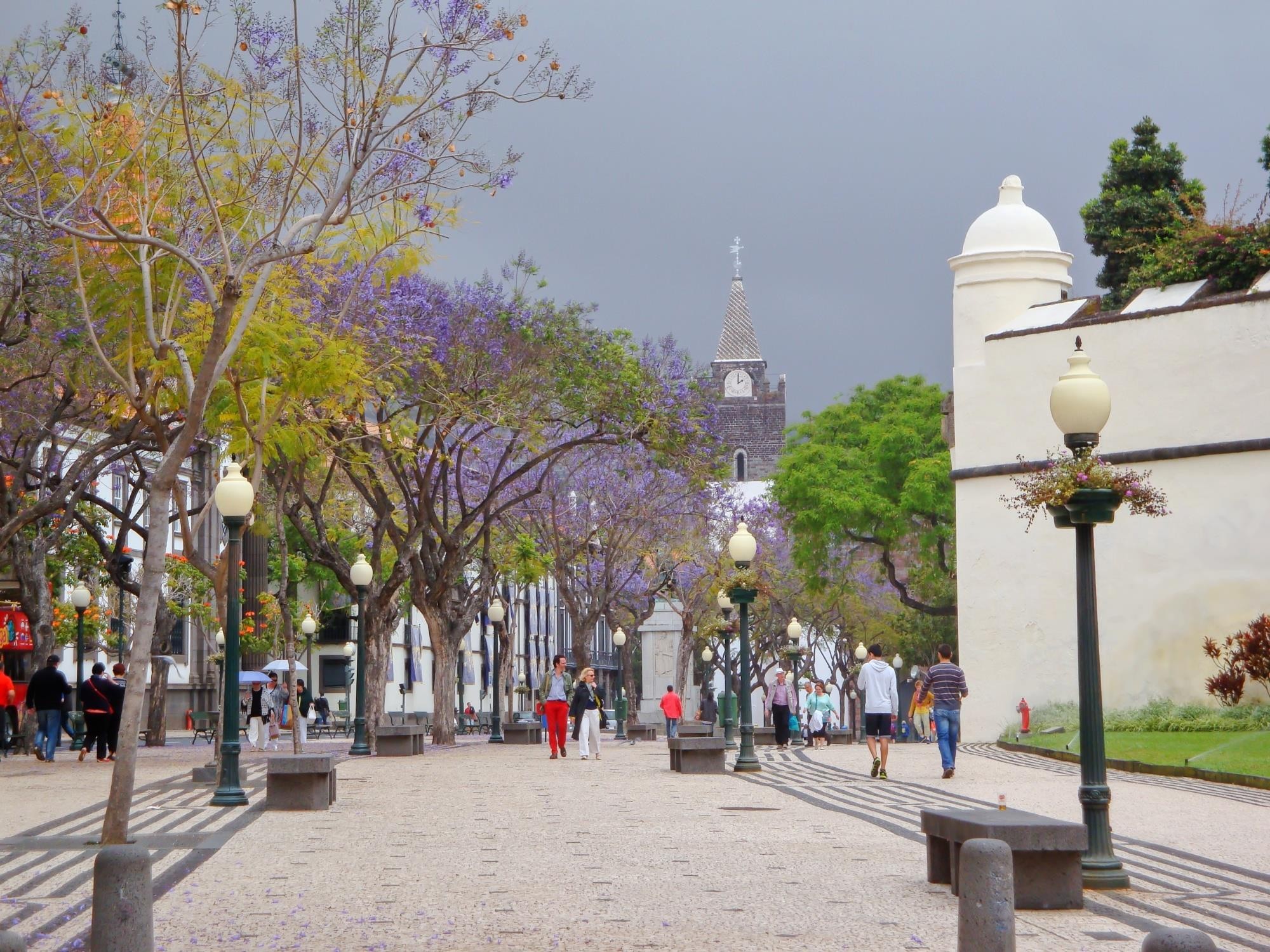 Alojamento Central II 8