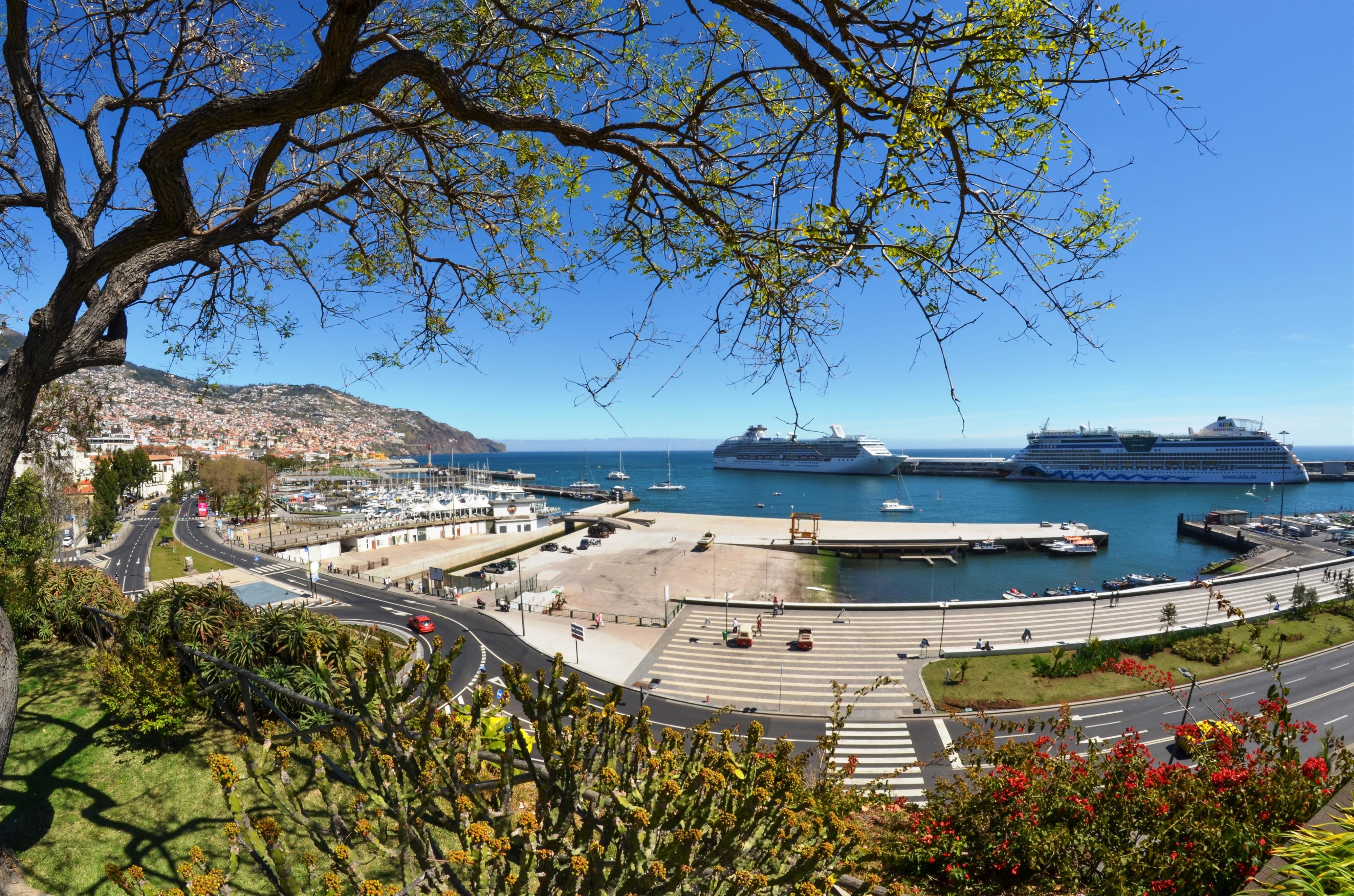 Madeira Bright Star 14