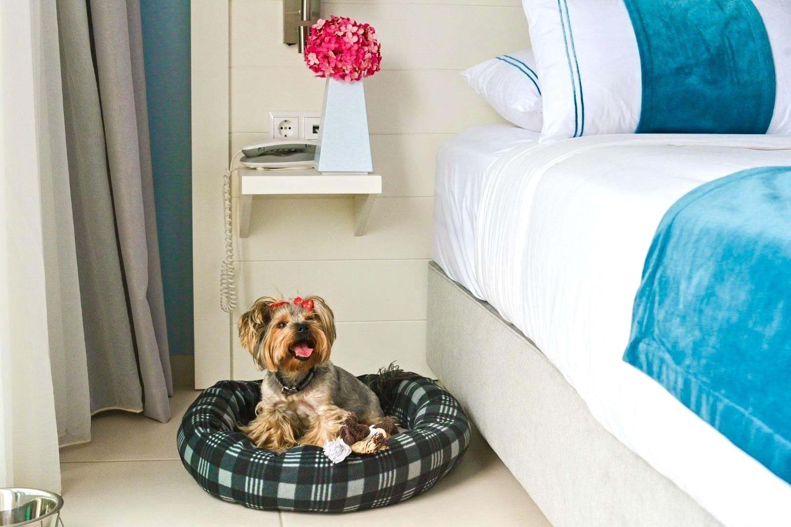 ACROTEL Lily Ann Beach 27