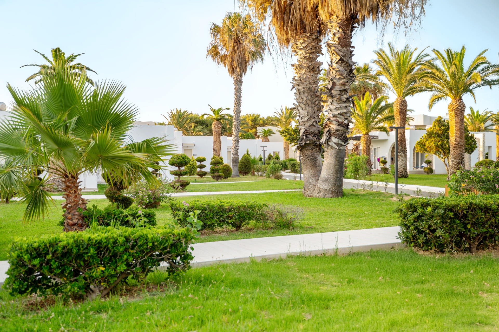 SMY KOS BEACH & SPLASH 24