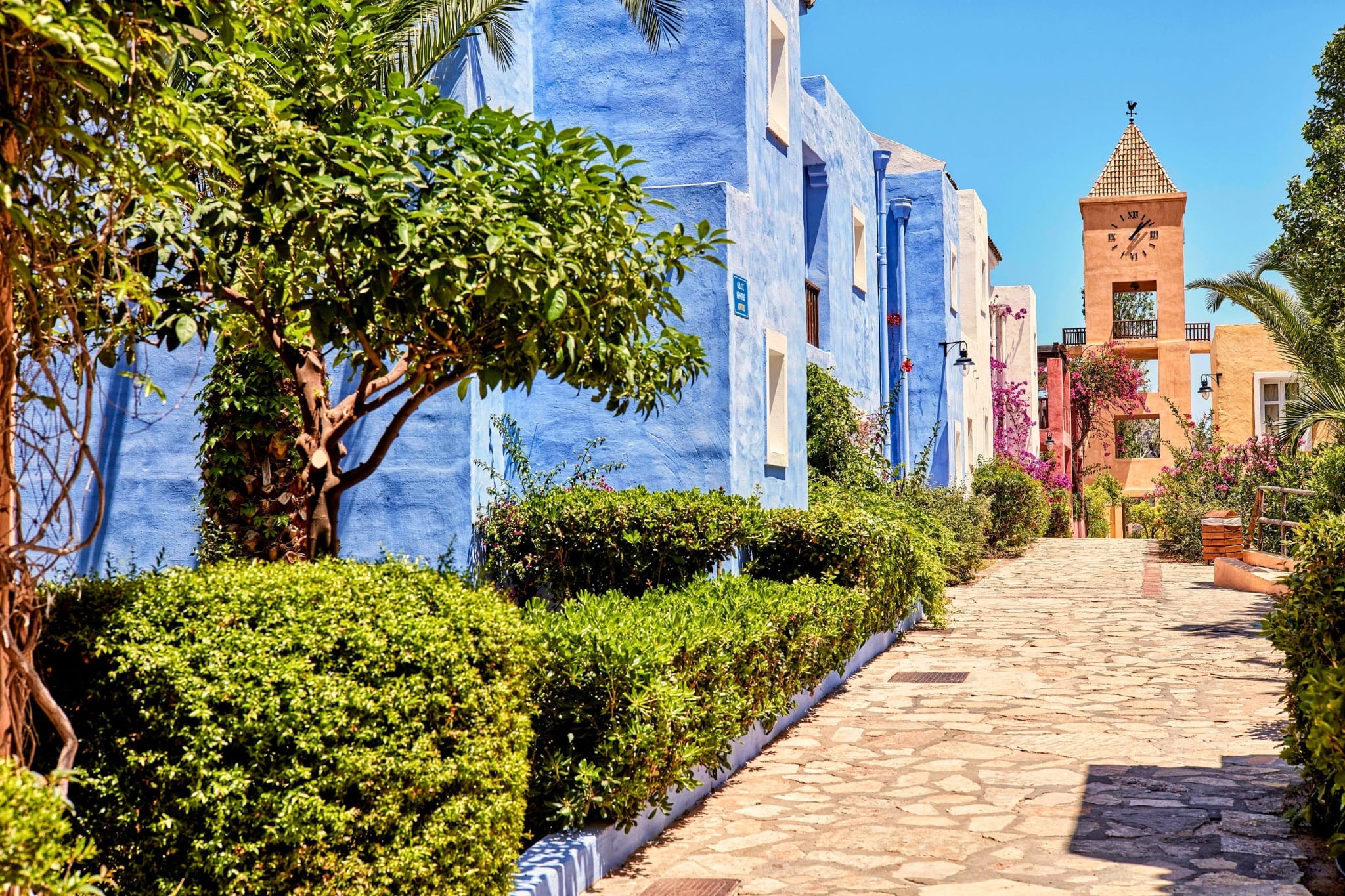 Candia Park Village 25