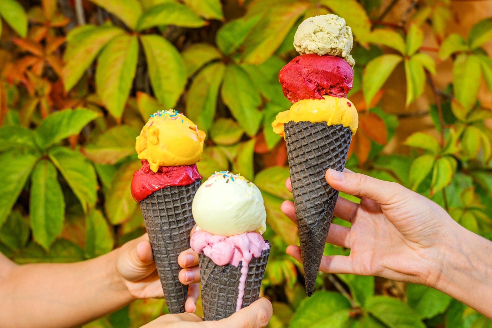 Candia Park Village 14