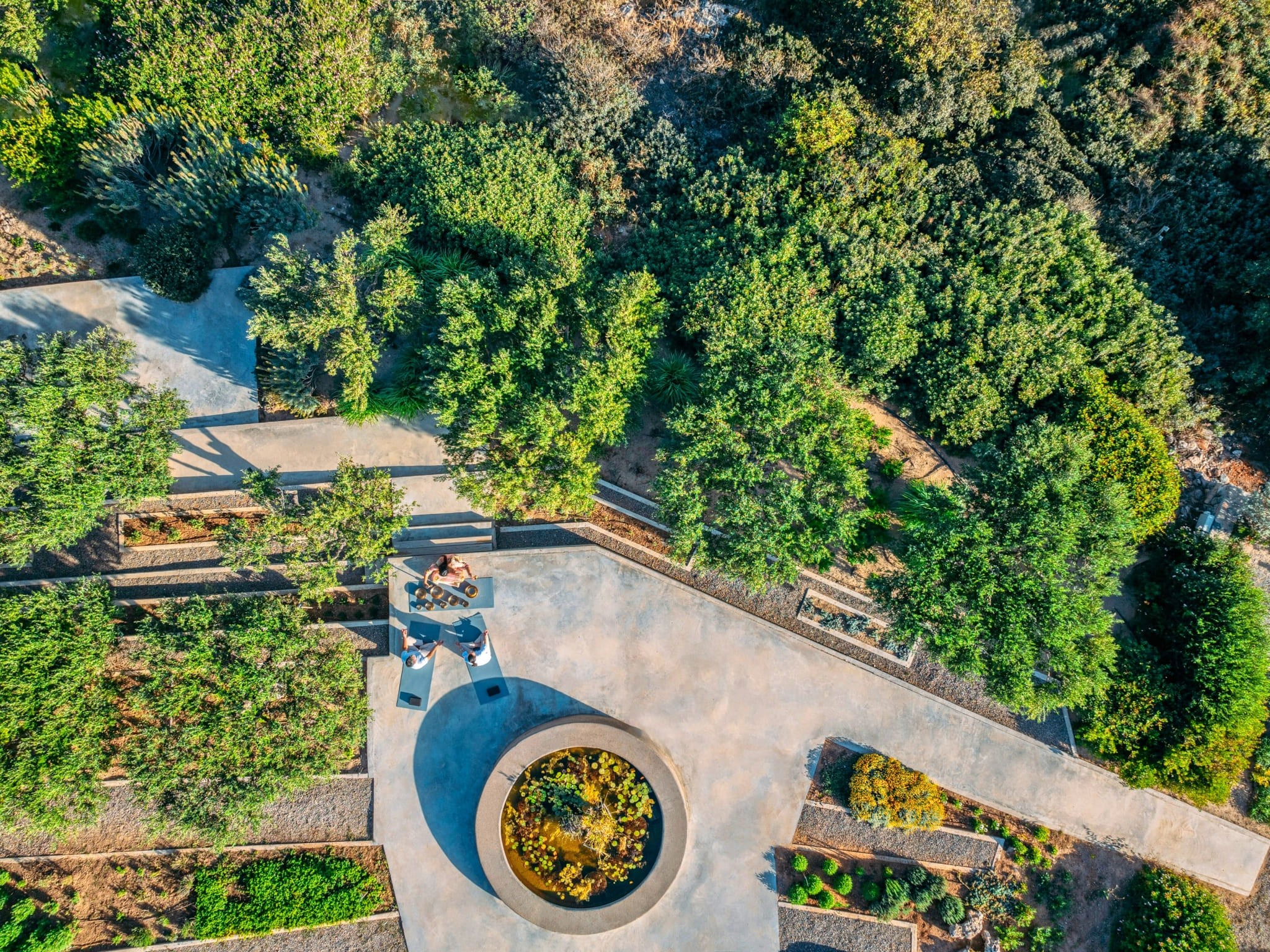 Sensimar Minos Palace 22