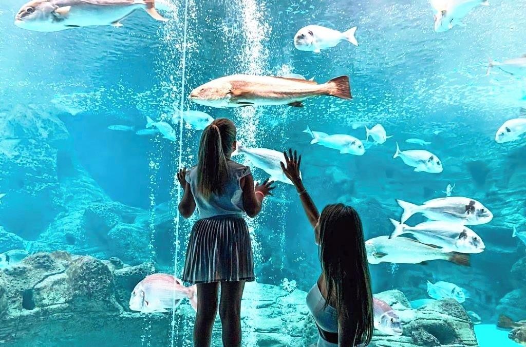 Mitsis Laguna resort & spa 25