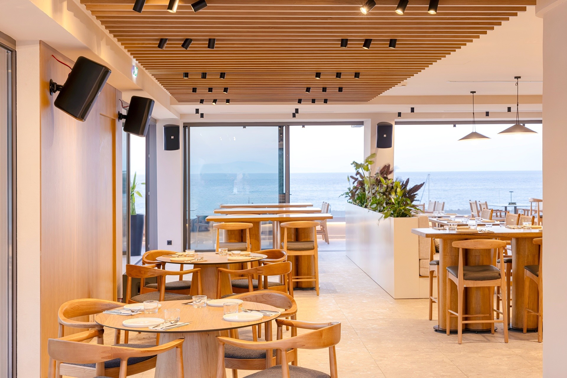 Erato by Samian Mare 8