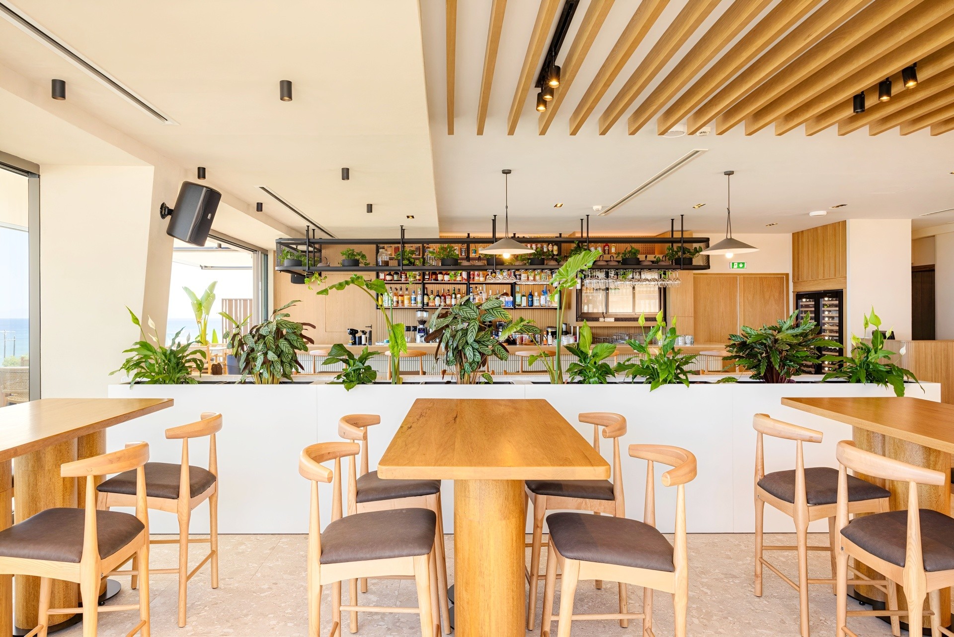 Erato by Samian Mare 15