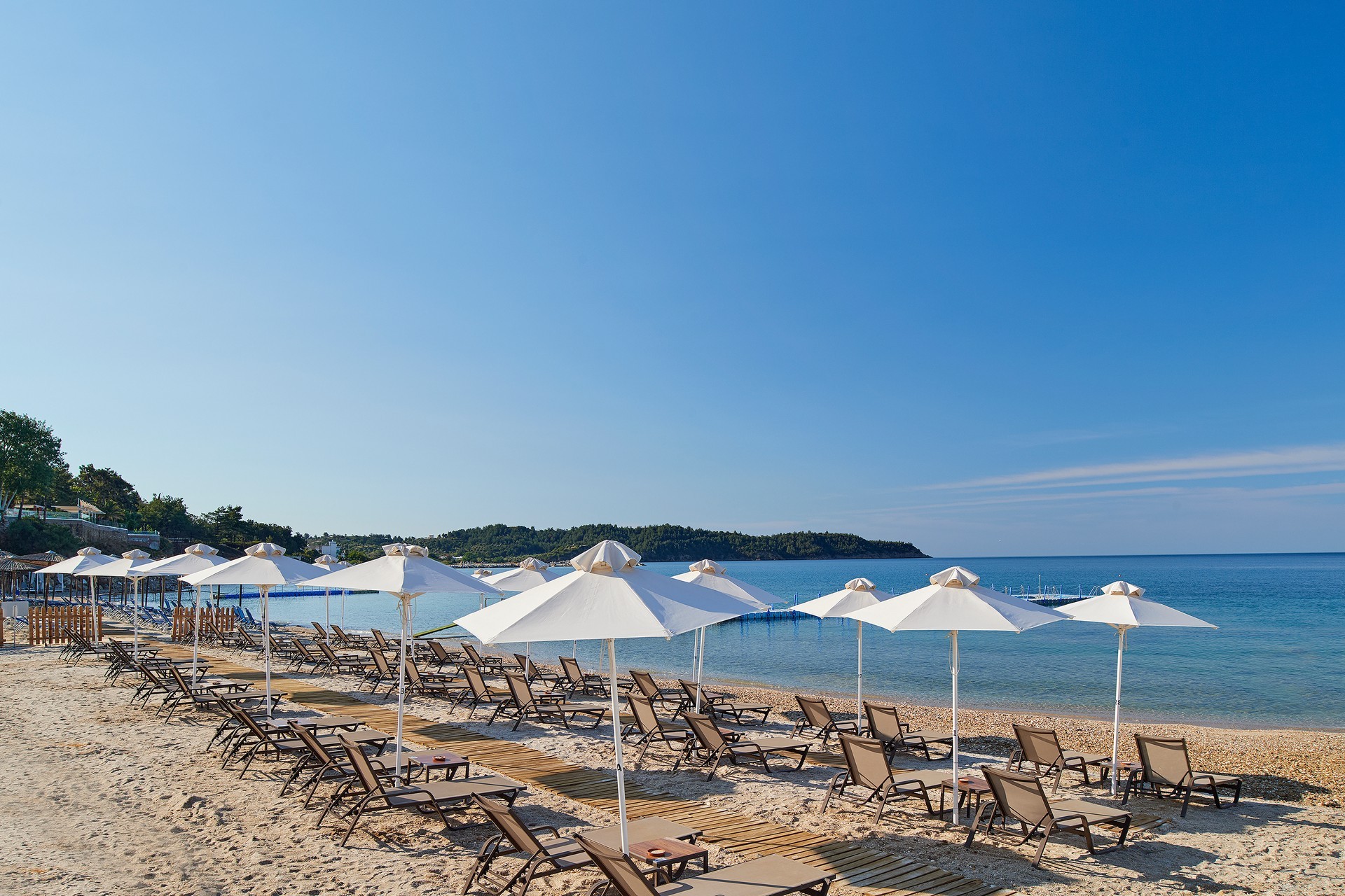 Alexandra Elegance 3