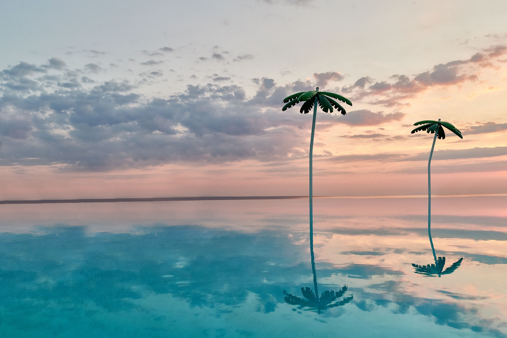 Alexandra Elegance 20