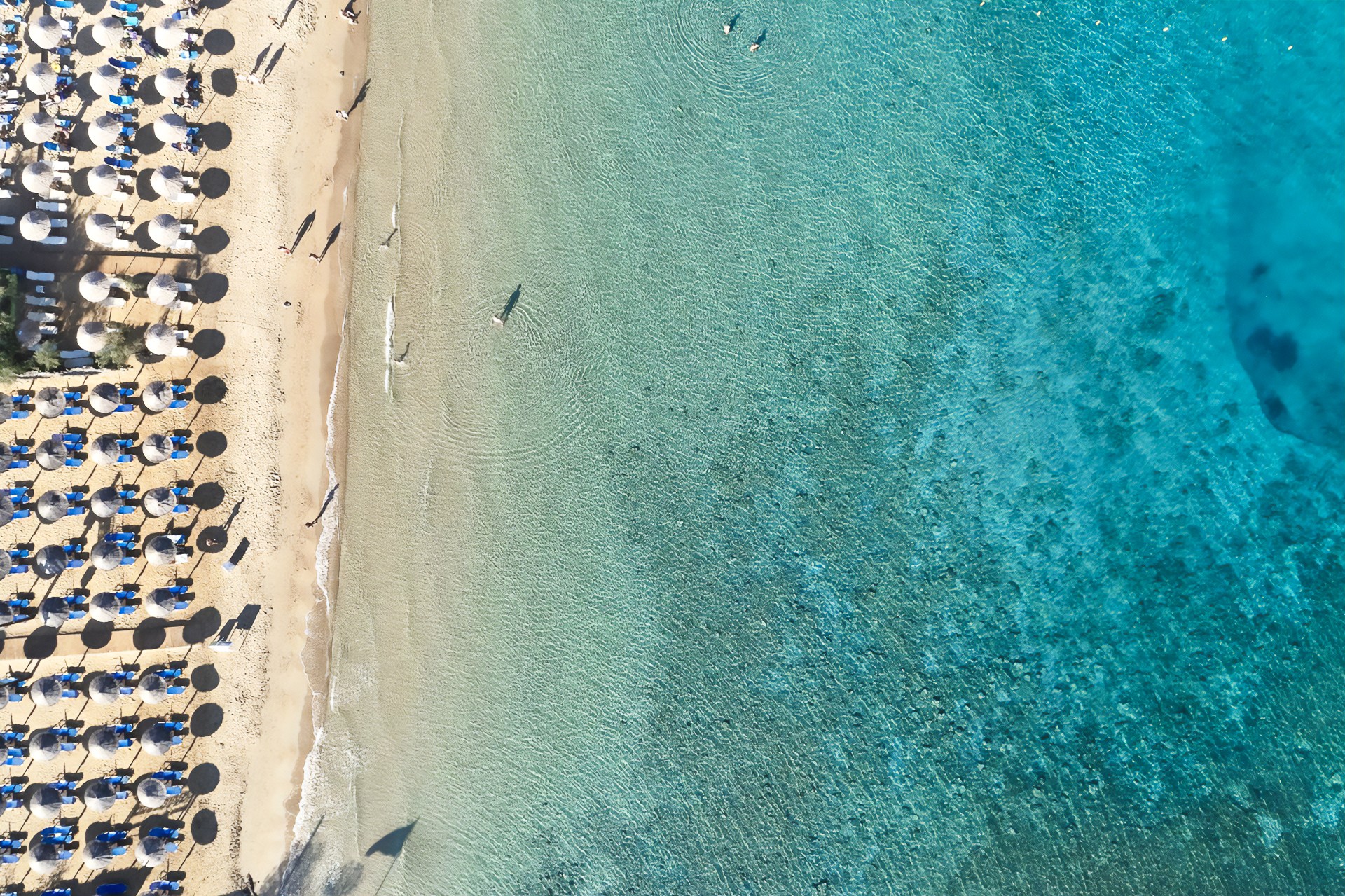 Lesante Classic Luxury Hotel & Spa 5