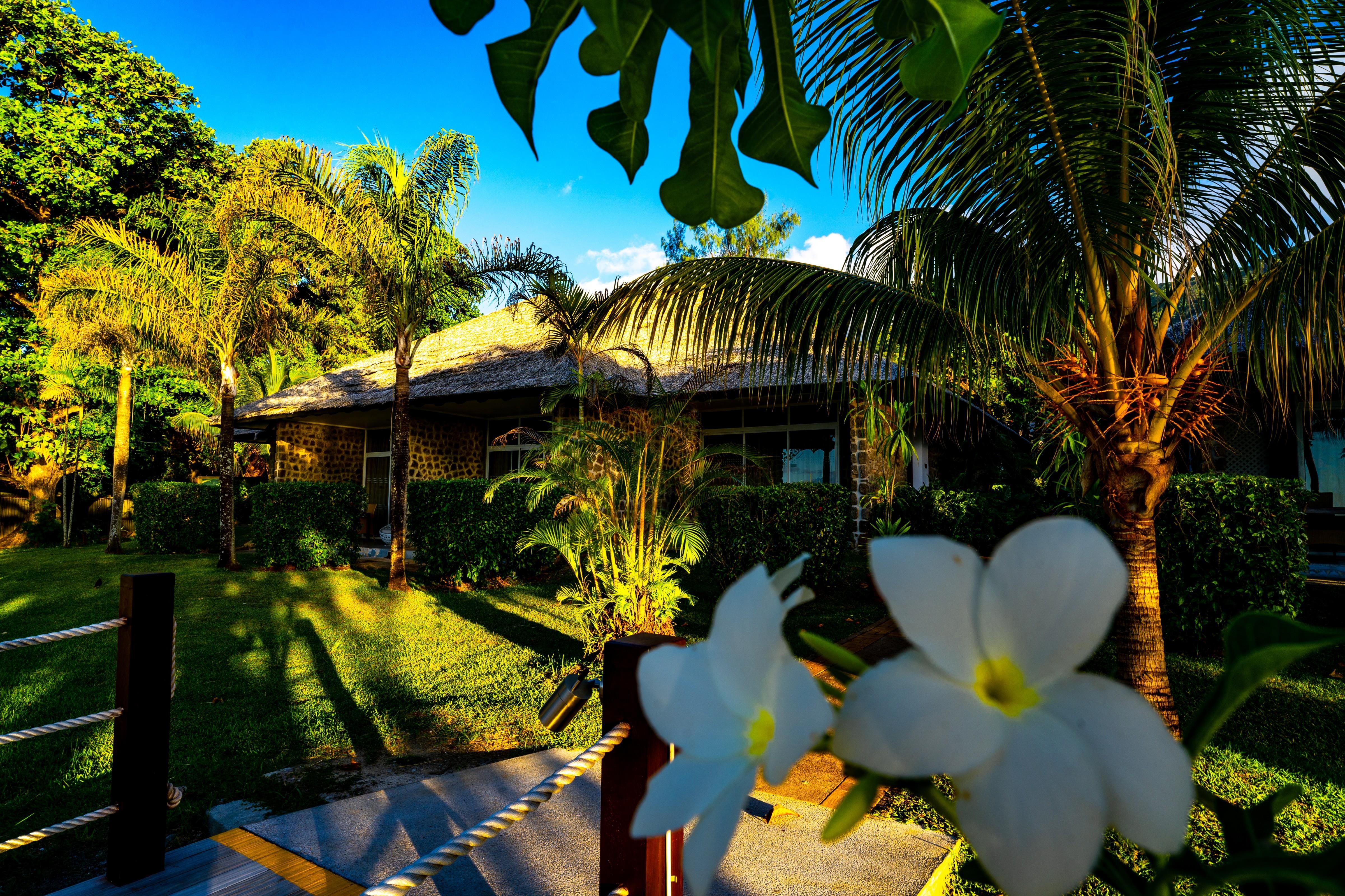 Fisherman'S Cove Resort