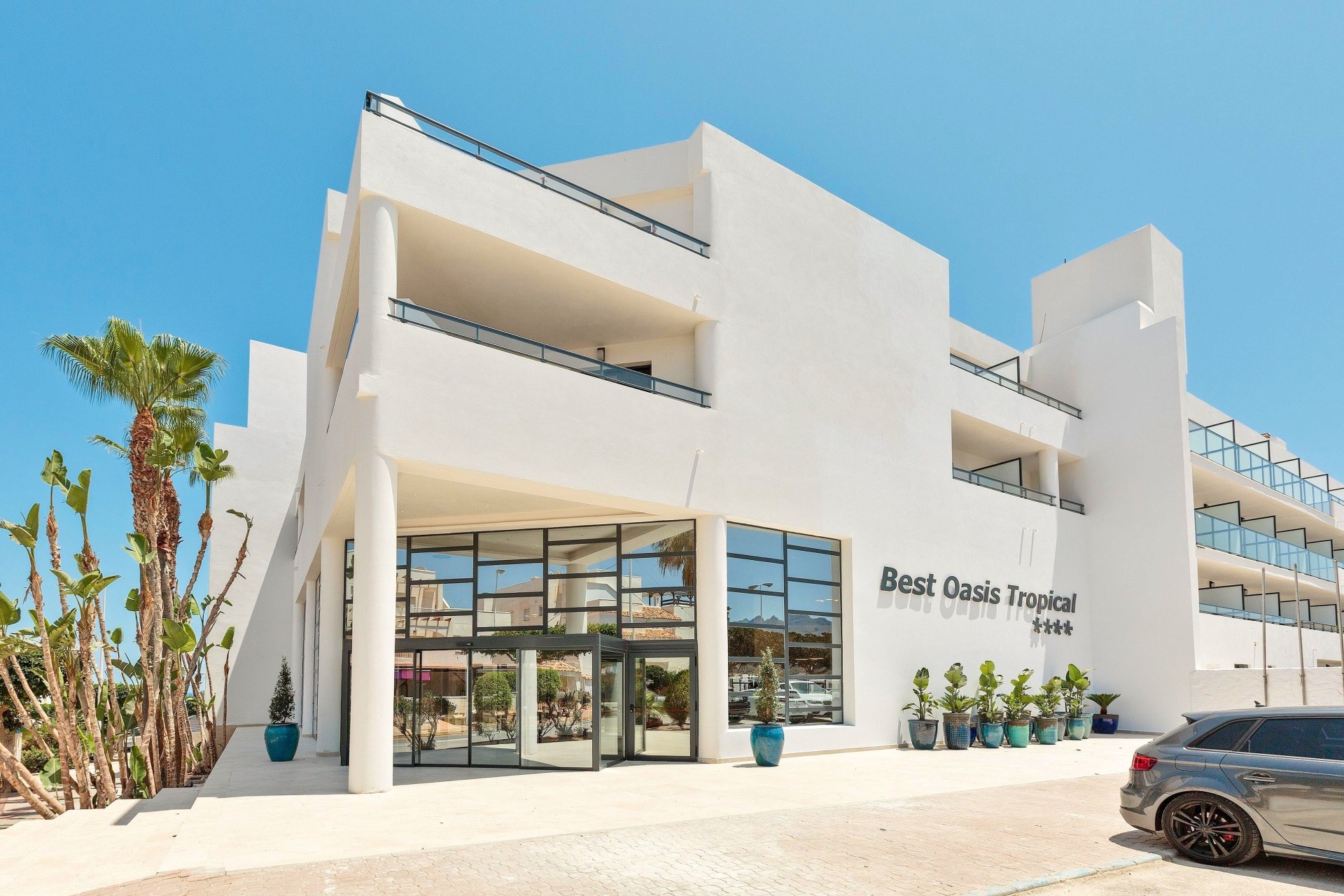 Best Oasis Tropical 13