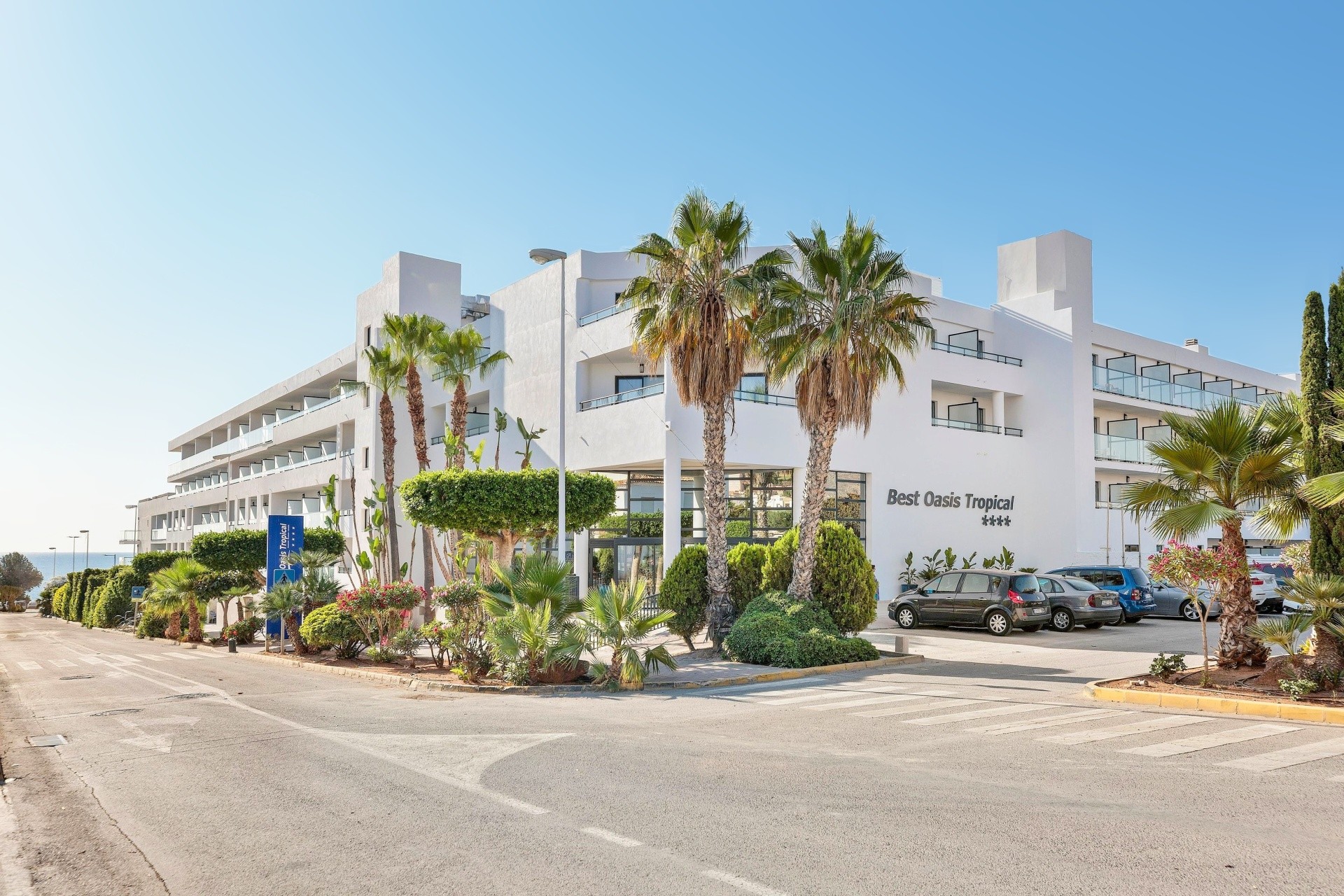 Best Oasis Tropical 30